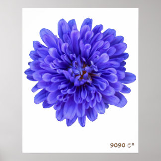 Poster de La Bluette