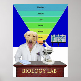 Poster de Laboratório de Biologia Engraçado para P