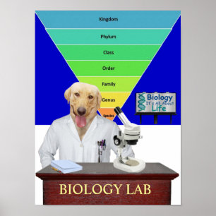 Poster de Laboratório de Biologia Engraçado para P