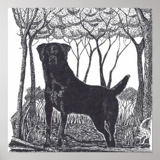 poster de laboratório negro