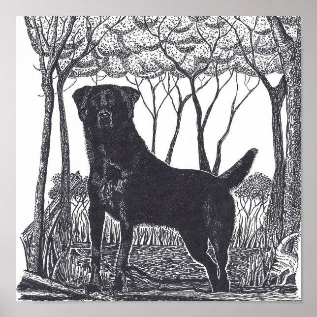 poster de laboratório negro (Frente)