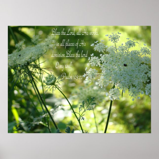 Poster de Lace da Rainha Anne (Frente)