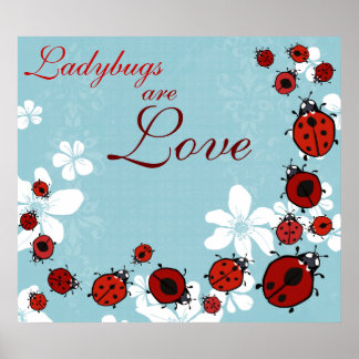 Poster de Ladybug