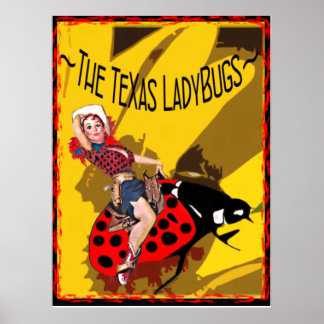 Poster de LadyBugs TX com Inseto Gatinho