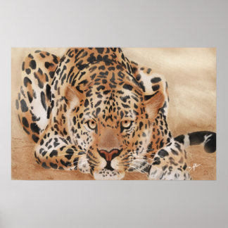Poster de Leopardo