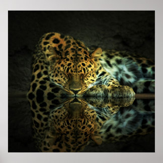Poster de Leopardo