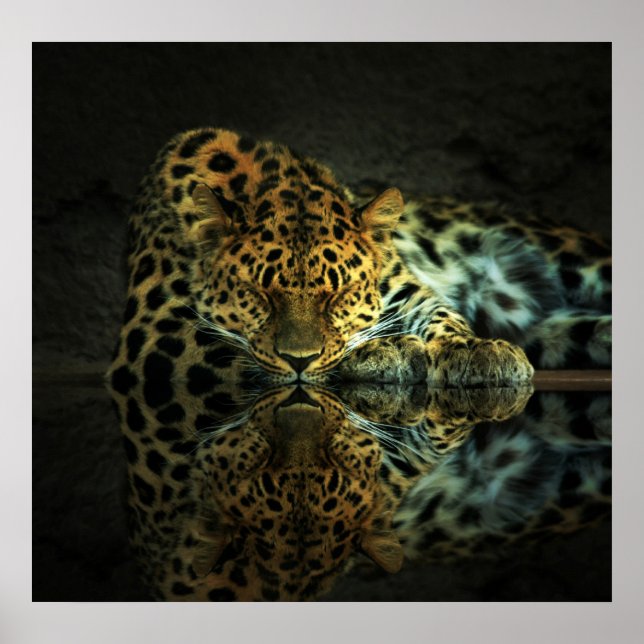 Poster de Leopardo (Frente)