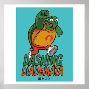 POSTER de liberação de diademata de liberação 