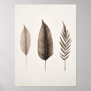 Poster de licença limpa moderna elegante