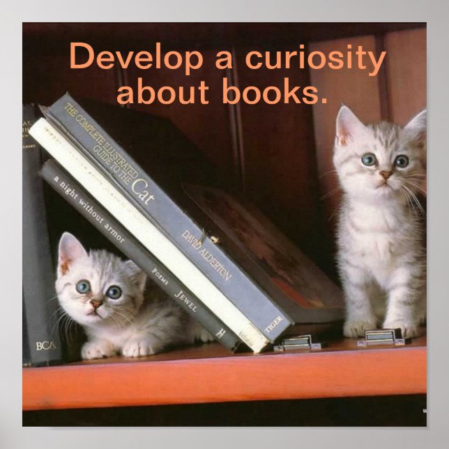 Poster de Literacia de Suporte (Frente)