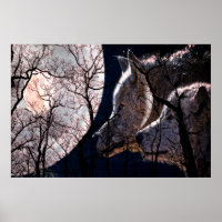 poster de lobo-da-abstrato