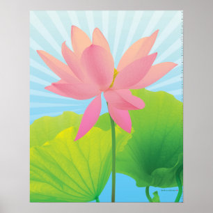 Poster de Lotus
