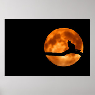 Poster de Luz de Gato Silhouette