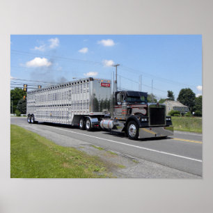 Poster de M. Brown Kenworth W900B