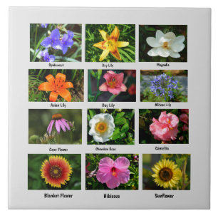 Poster de macro flores