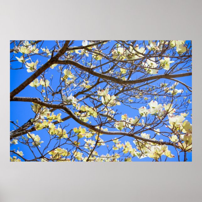 poster de madeira (Frente)