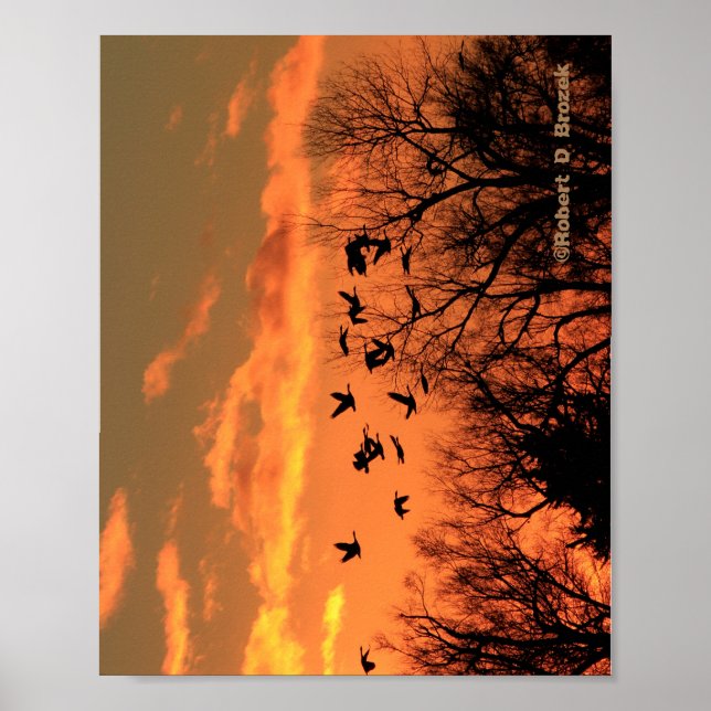 Poster de madeira de Silhouette Sunset Geese Canad (Frente)