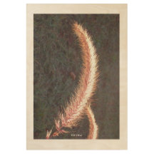 Poster de madeira - Erva ornamentais