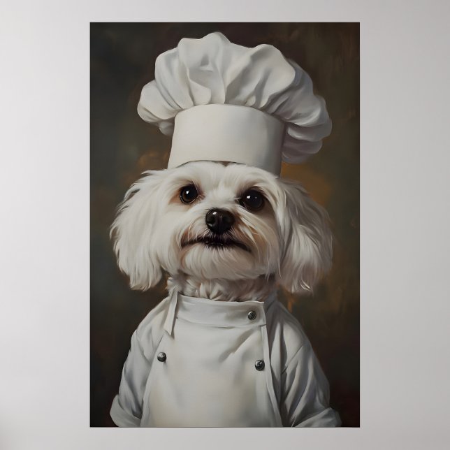 Poster de Maltês com Chapéu de Chef, Poster de Ani (Frente)