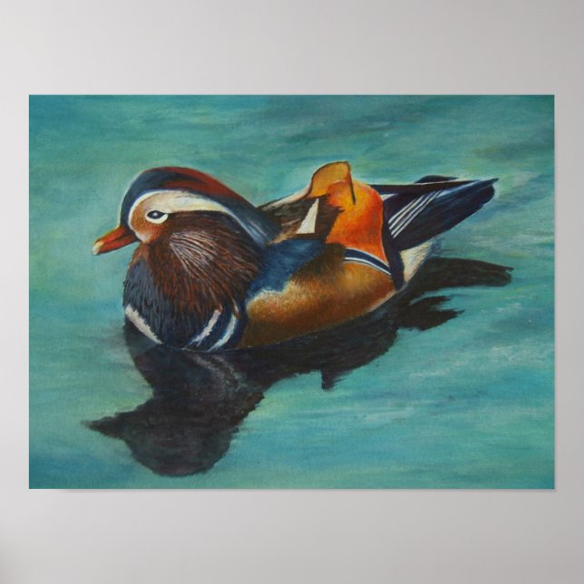 Poster de Mandarin Duck (Frente)