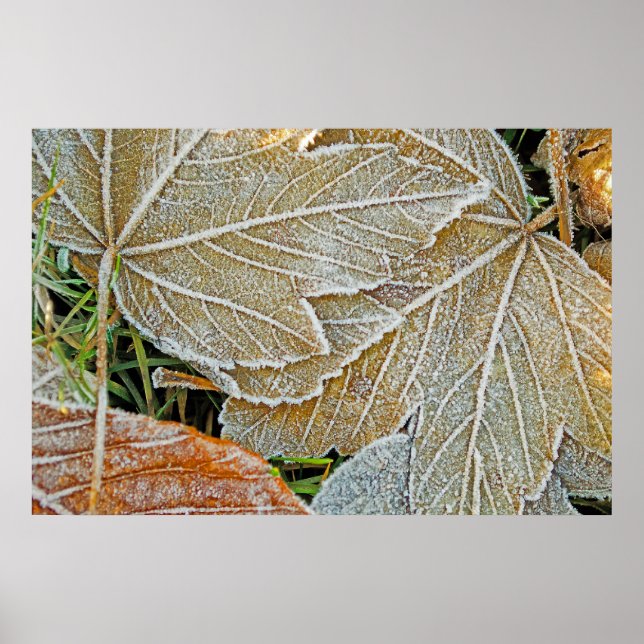 Poster de Mapeamento Congelado (Frente)