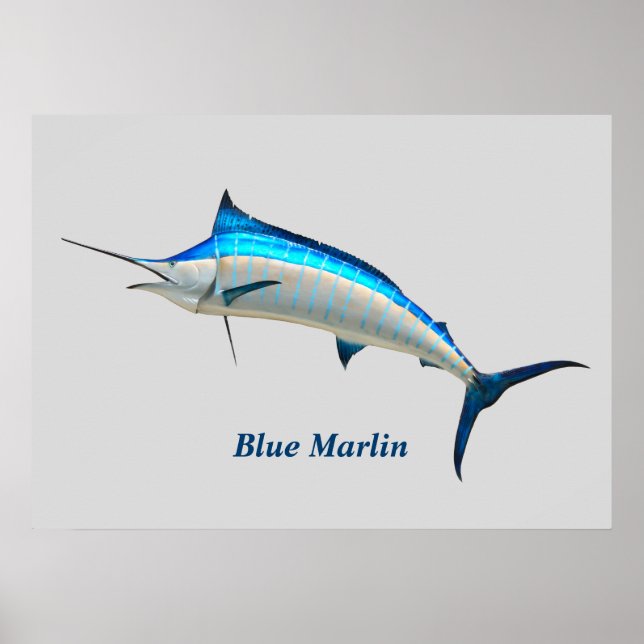 Poster de Marlin Azul (Frente)