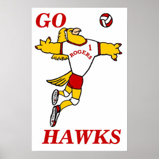 Poster de Mascote de Voleibol de Hawk