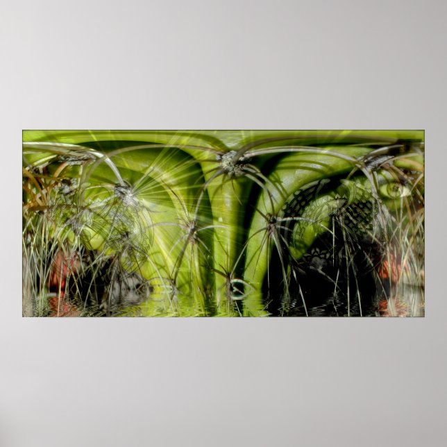 Poster de Medicina Tribal (Frente)