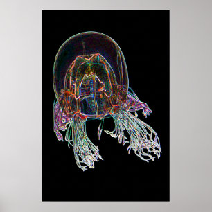 Poster de medusas neon escuras