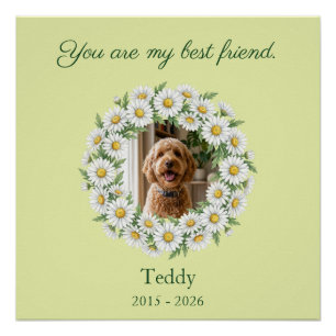 Pôster de Memória de Daisy com Foto Personalizada