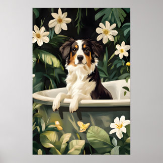 Poster de Miniature American Shepherd na Banheira