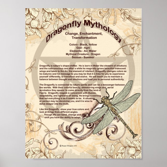 POSTER DE MITOLOGIA DRAGONFLY (Frente)