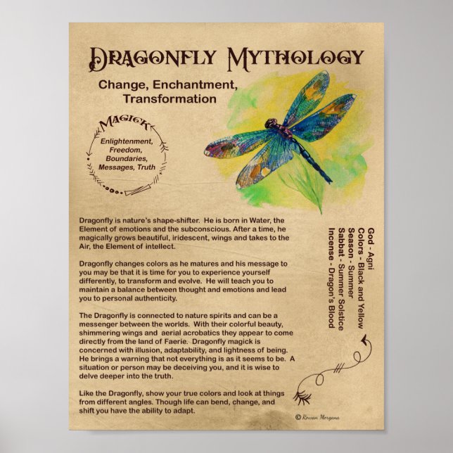 POSTER DE MITOLOGIA DRAGONFLY (Frente)