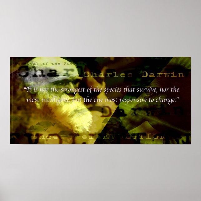 Poster de Motivação (Frente)