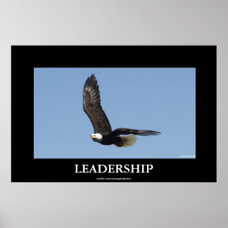 POSTER de Motivação da Águia Balda LIDERANÇA