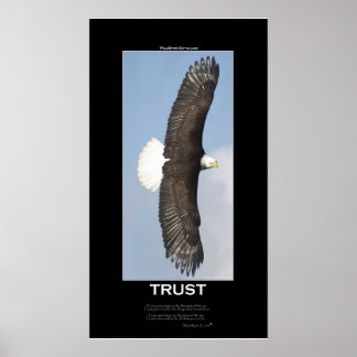 POSTER de Motivação da Águia Sálida de CONFIANÇA