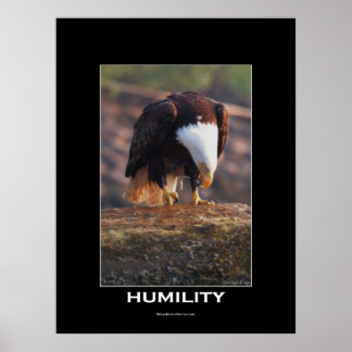 POSTER de Motivação da Águia Sálida de HUMILIDADE
