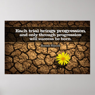 Poster de Motivação de Progressão
