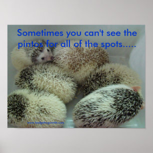 Poster de muitos pintos