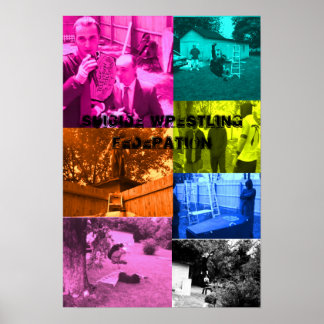 poster de multicores swf