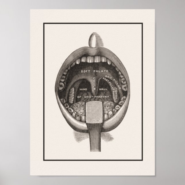 Poster de Muro com escova de dentes (Frente)