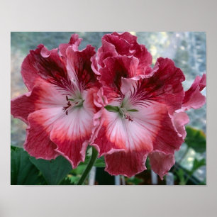 Poster de Muro de Foto das Flores de Verão Rosa