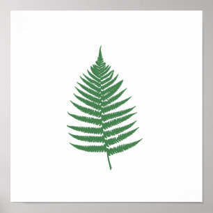 Poster de Muro do Mínimo Verde Fern