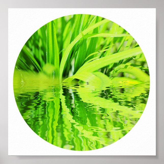Poster de Natureza Reflexo de Grama Verde Brilhant (Frente)