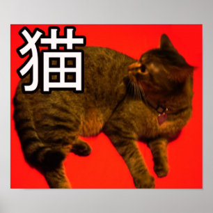 Poster de Neko