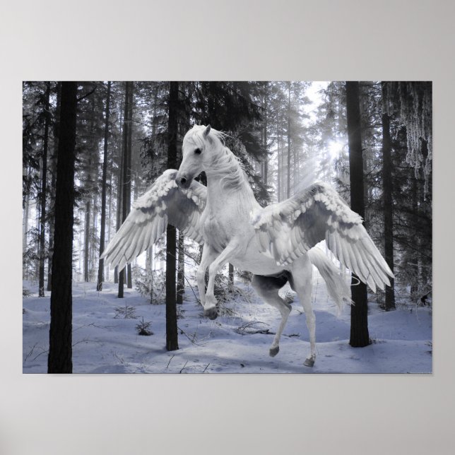 Poster de Neve da Floresta de Cavalo Voador Pegasu (Frente)