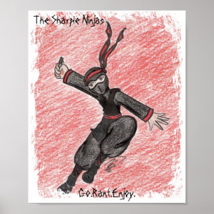 Poster de Ninja do vôo