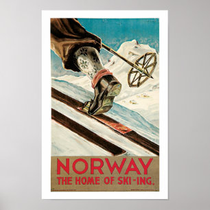 Pôster ~ de Noruega a casa do esqui