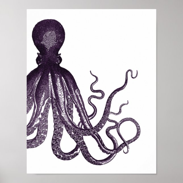 Poster de Octopus Moderno Roxo (Frente)