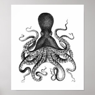 Poster de Octopus Vintage